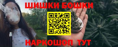 соль ск Партизанск
