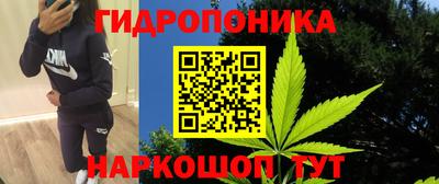 соль ск Партизанск