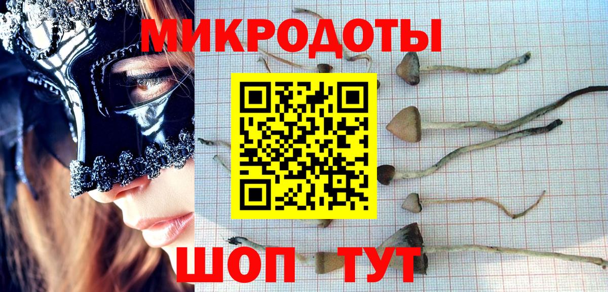 Псилоцибиновые грибы MAGIC MUSHROOMS  Вход с VPN  Галлюциногенные грибы Psilocybe  Хасавюрт 
