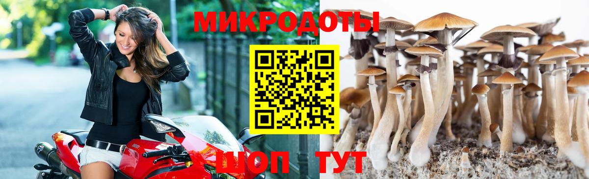 Псилоцибиновые грибы Magic Shrooms Хасавюрт